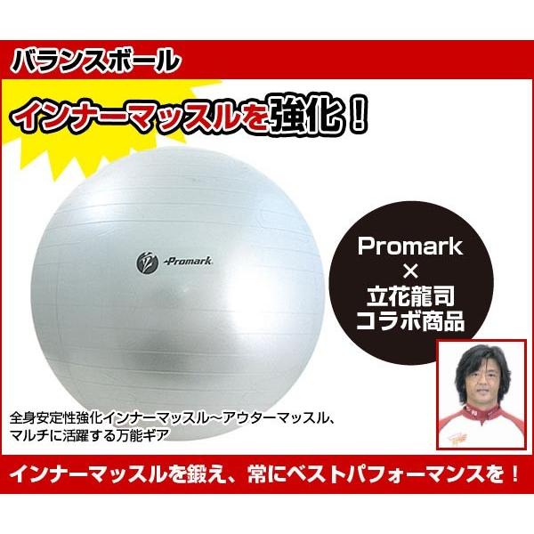 バランスボール 85cm 適用身長 180cm 体幹 筋トレ ダイエット ノンバースト ポンプ 空気入れ 付 プロマーク Promark Tpt0275 Tpt0275 ライナースポーツ 通販 Yahoo ショッピング