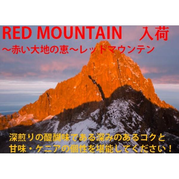 R[q[ R[q[ 蓤 [Ё[  [ &lt;PjA&gt;  200 ꖡ Ö JtFI ubNň߂