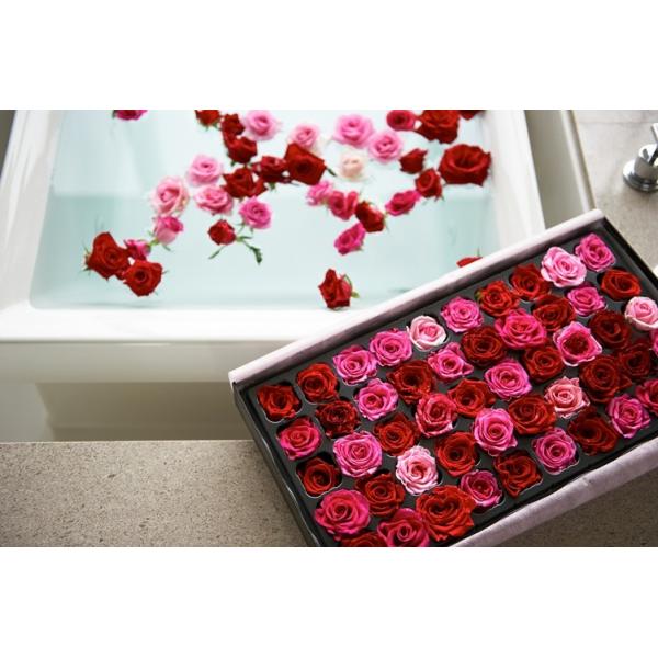 バラ風呂 プレミアムローズバス 最高級のバラ風呂 高品質 ローズバス バスローズ 薔薇お風呂 バラお風呂 ばらお風呂 薔薇のお風呂 バラのお風呂 Buyee Buyee 提供一站式最全面最專業現地yahoo Japan拍賣代bid代拍代購服務 Bot Online