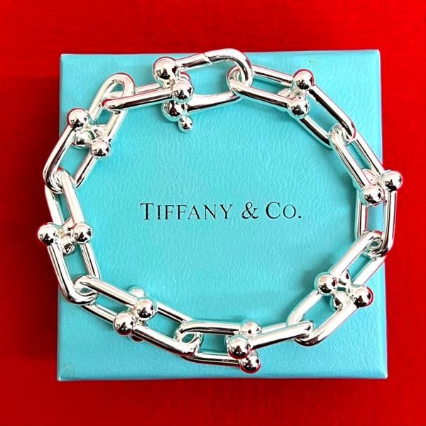 正規品　希少品ティファニーアクセサリーリング　ブレスレットなど小物入れ TIFFANY&Co.（ティファニー） 極 美品 ハードウェア ラージリンク