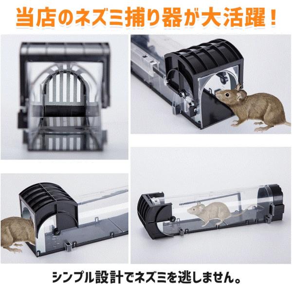ネズミ捕り器 ねずみ 捕獲 2個セット 罠 ネズミ捕獲器 捕鼠器 再利用可能 簡単設置 畑 庭 ネズミ取り 無毒 無害 Buyee Buyee Japanese Proxy Service Buy From Japan Bot Online