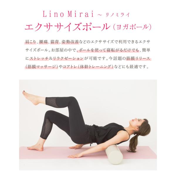 linomirai-2_lms91nh005-006_3