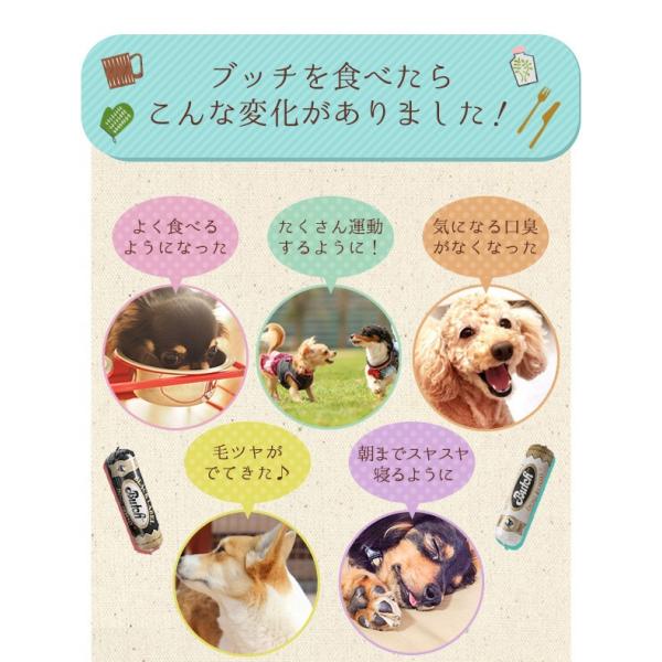 ブッチ ドッグフード ブッチ ブラック レーベル ドッグフード 2kg クール便発送 Butch 犬 ドッグ ロールフード 成犬 高齢犬 子犬 幼犬 ミートフード Buyee 日本代购平台 产品购物网站大全 Buyee一站式代购 Bot Online