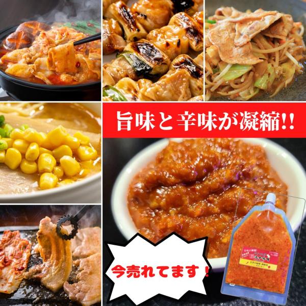 洋食スープ40年の職人が（ブイヨン）から仕上げた神の辛味噌！　最高級の材料を選択して仕上げたとても贅沢な辛味噌調味料です。超激辛ですが奥深い旨みが特徴です。お子様と別にカレーを作っていませんか？この辛味噌が有れば盛り付け後に一撃で辛口カレー...