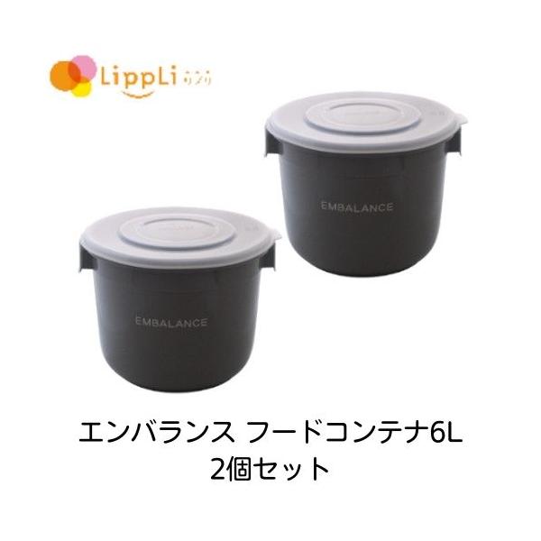 エンバランス フードコンテナ6L 2個セット