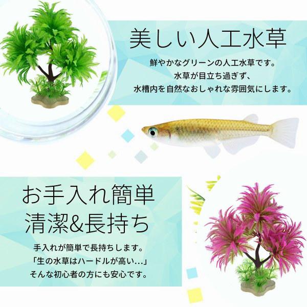 水草 人工 アクアリウム メダカ 熱帯魚 金魚 テトラ 水槽 レイアウト 人工プランツ フェイク 熱帯魚 観賞魚 アクアリウム用品 飾り Xrxshuicao0001 Liptonツェルマ 通販 Yahoo ショッピング