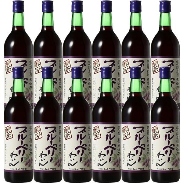 送料無料 シャトー勝沼 酸化防止剤無添加 ブルーベリーわいん 720ml×12本
