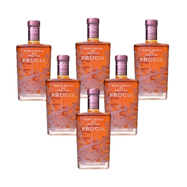 ロシア リキュール 2本セット SUNTORY 送料無料 リキュール サントリー プラムリキュール ド
