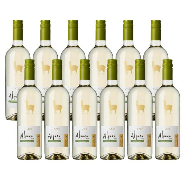 【内容量】750ml【アルコール分】13％【色/味わい】白 辛口【商品特徴】チリとアルゼンチンの国境にそびえる「アンデス」山脈からもたらされる冷気と南極から北に流れる寒流であるフンボルト海流から届く冷気が昼夜の寒暖差を生み、品質の高いぶどう...