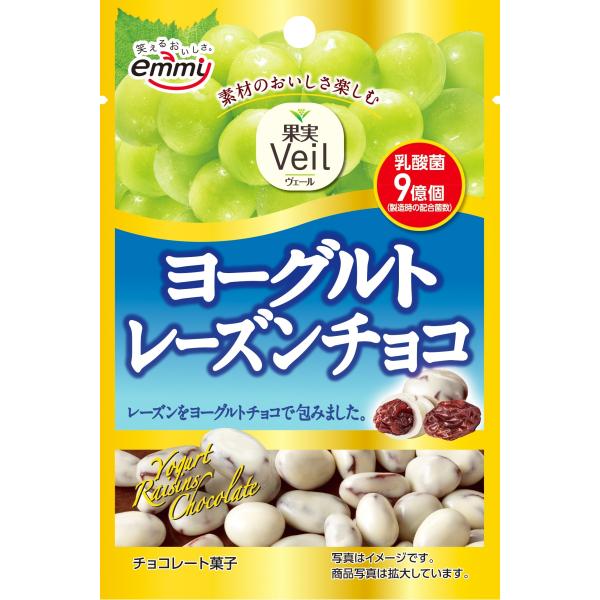 レーズン チョコの人気商品 通販 価格比較 価格 Com
