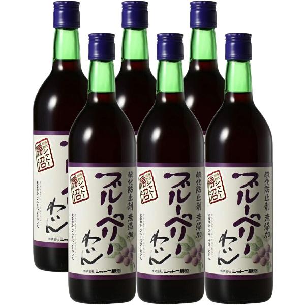 送料無料 シャトー勝沼 酸化防止剤無添加 ブルーベリーわいん 720ml×6本【ご注文は1ケース(12本)まで同梱可能です】