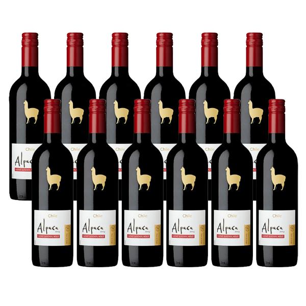 【内容量】750ml【アルコール分】13.5％【色】ミディアムボディ【味わい】【商品特徴】チリとアルゼンチンの国境にそびえる「アンデス」山脈からもたらされる冷気と南極から北に流れる寒流であるフンボルト海流から届く冷気が昼夜の寒暖差を生み、品...