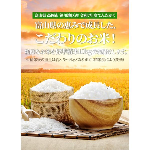 送料無料 令和8年産 富山県産 てんたかく 10kg 本商品は玄米10kg 精米後は約9kg前後