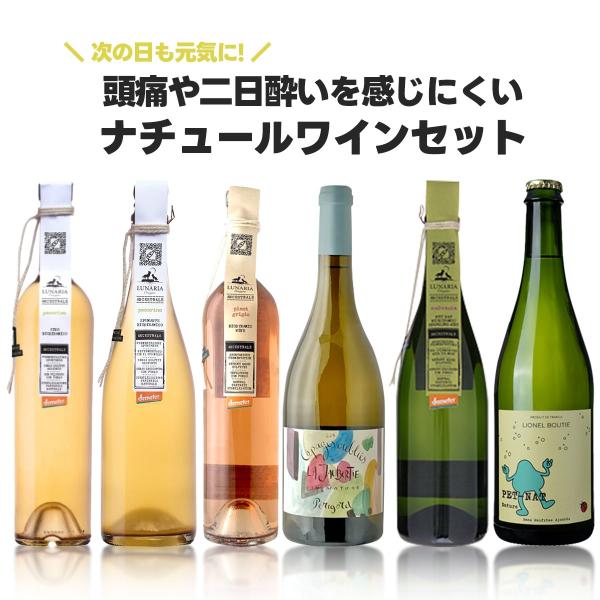送料無料 頭痛や二日酔いを感じない ナチュールワイン6本セット[750ml