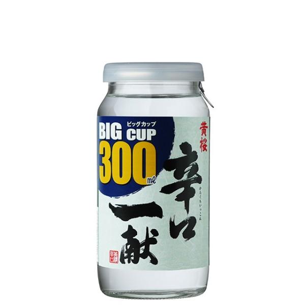  hꌣ rbOJbv 300ml 1P[X 20{  