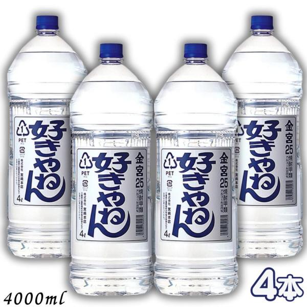 liquorisland_300208-4