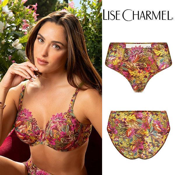 下着・アンダーウェア LISE CHARMEL 生産数僅少】2026春夏新作 深めショーツ 品番acj0337 リズシャルメル