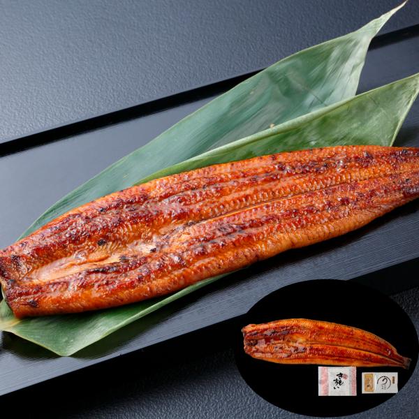 うなぎ問屋の大五蒲焼（一人前）　ニホンウナギ 国産