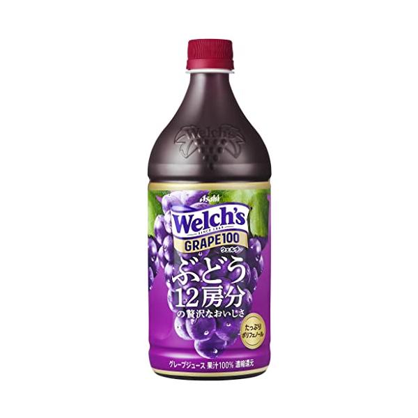 アサヒ飲料 Welchsウェルチ グレープ100