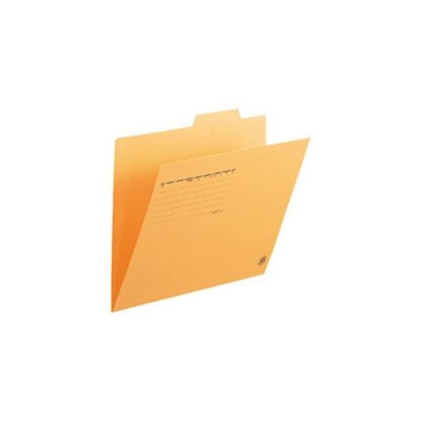 vX ʃtH_[ FL-061IF A4E  100