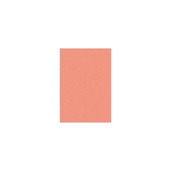 i܂Ƃ߁j ^ j[J[R c 271×c392mm 8NCR-127 T[ 100 k×2Zbgl