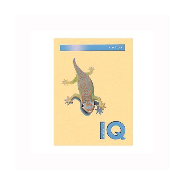 i܂Ƃ߁j ɓ oCIgbvJ[ A4 500 80g^m2 BT515 T[ k×2Zbgl