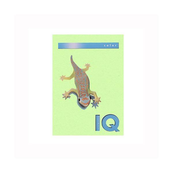 i܂Ƃ߁j ɓ oCIgbvJ[ A4 250 120g^m2 BT706 ~fBAO[ k×2Zbgl