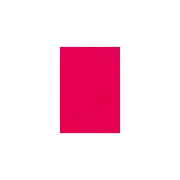 i܂Ƃ߁j TANOSEE Fp   1pbNi10j k×30Zbgl