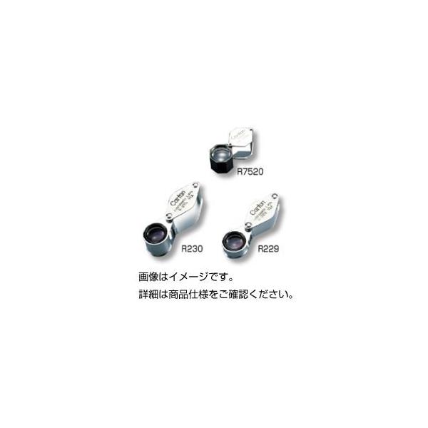 ΊӒp[yR229