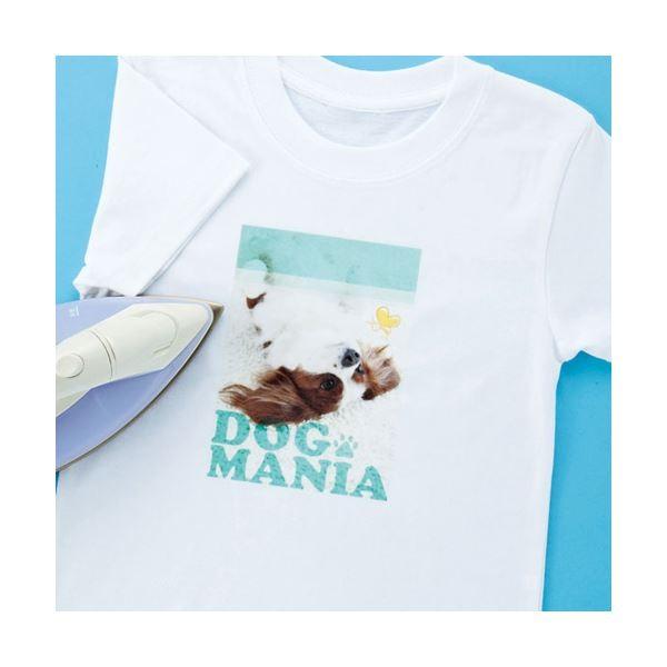 i܂Ƃ߁jTTvC CNWFbgɋACvgizpj JP-TPRTYNk×5Zbgl