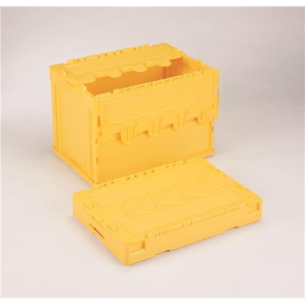 򕌃vX`bNH t^t ܂肽݃Rei IR k60L CG[l CF-S61NR ܂肽 Rei [ e