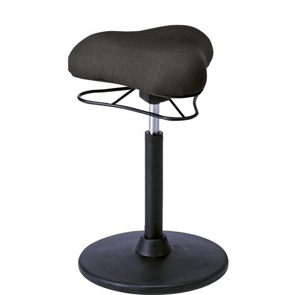 JE^[`FA 41cm HIGH^Cv ubN X`[ 360x] ~ v|[VXc[ rO _CjO