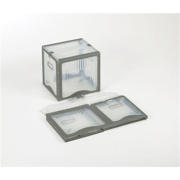 X{bNX/Rei{bNX k26B NA/O[l y ܂肽 kϋv Ռ ό󐫁l