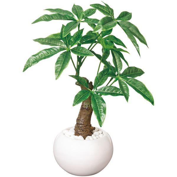 ���G�}���H�O���[���|�b�g �p�L��