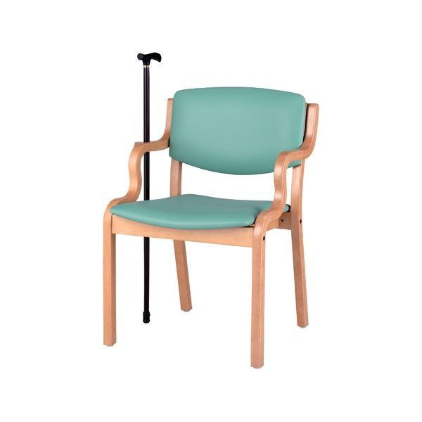 DLM ��c�C�XPD-5003S���C�g�O���[����|�@�\�t