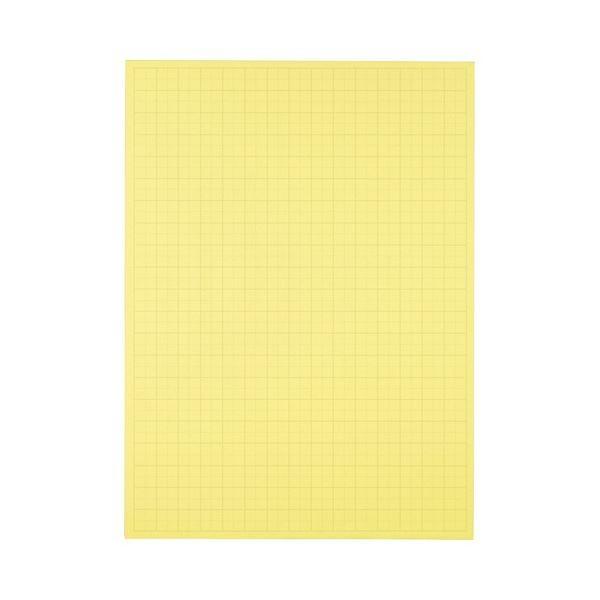 (܂Ƃ) TANOSEE ͑iv^Cvj { 788×1085mm 50mm N[ 1P[Xi20j k×10Zbgl