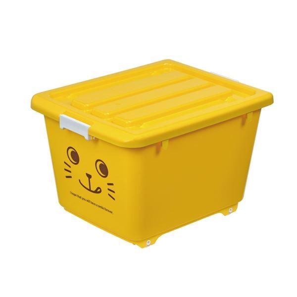 Aj}P[X/[P[X kCG[ V[gl 39cm bN@\ELX^[t qlp