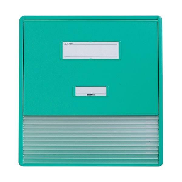 ���q�g���u �J���[�J�[�h�C���f�b�N�XA3�iA4�^�e2�ʁj11�|�P�b�g �O���[�� HC113C-3 1��