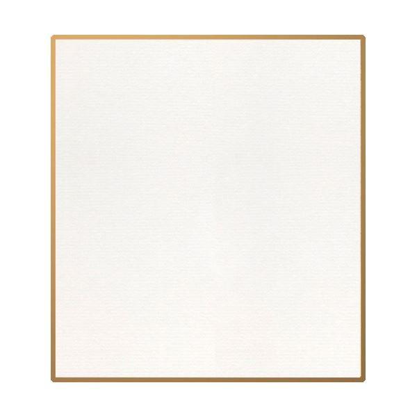 i܂Ƃ߁j剮X F 历 1/4120×135mm V-251 1k×50Zbgl