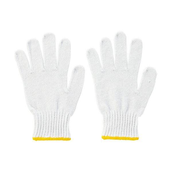 TANOSEE pR 600g zCg 1Zbgi480oF12o×40pbNj