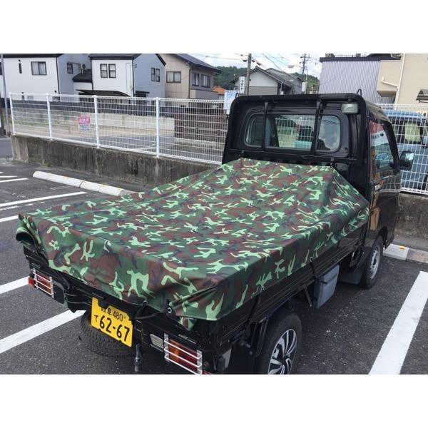 ygbN בV[g ʕ O[ 220×192cm |GXeV[g  yg ԗpi J[pi