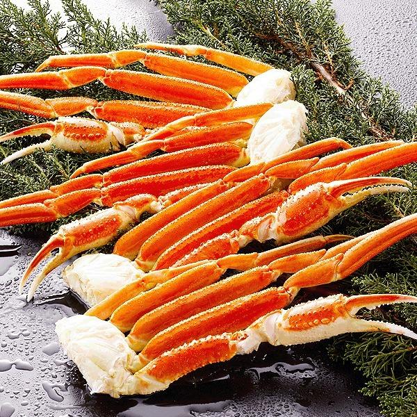 kg蔲QAi l{C킢ɋr800gi3`4j