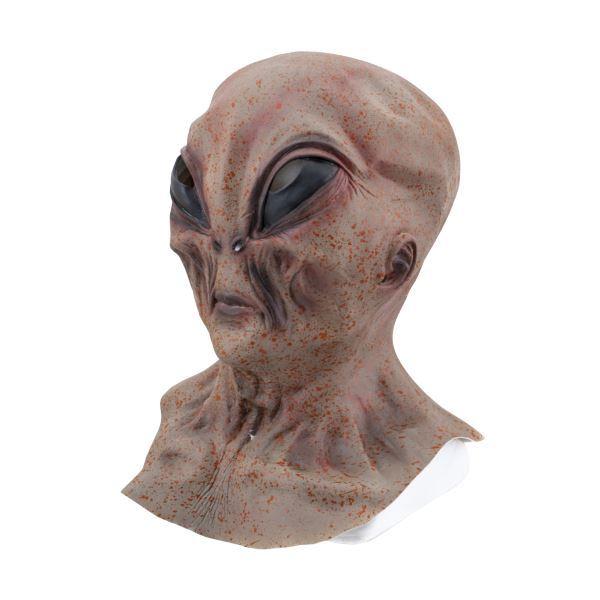 kRXvߑ/RX`[l FlQ}XNknEB p[eB[ l