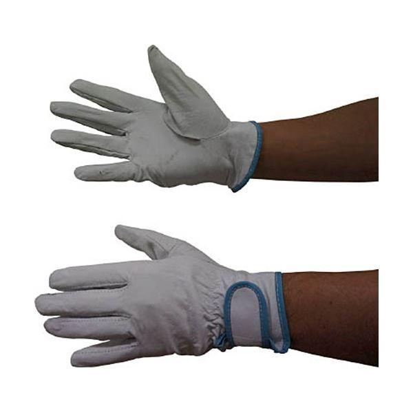 (܂Ƃ) Yf z[P v[N |[NWC #250 M 250-M 1o k×3Zbgl