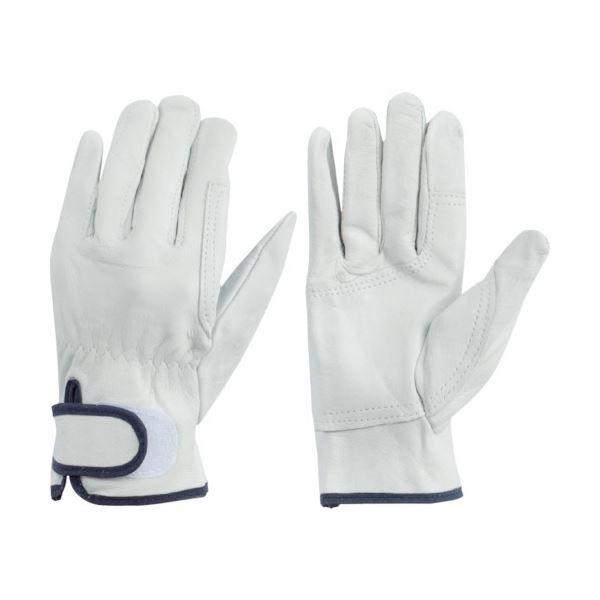 aR[|[V \v W[E n L zCg 475E-L 1(10o)