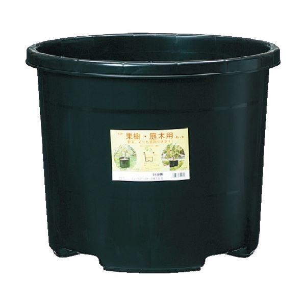 (܂Ƃ) DICvX`bN NP|bg #60(60L)  NPP-60-BK 1 k×3Zbgl