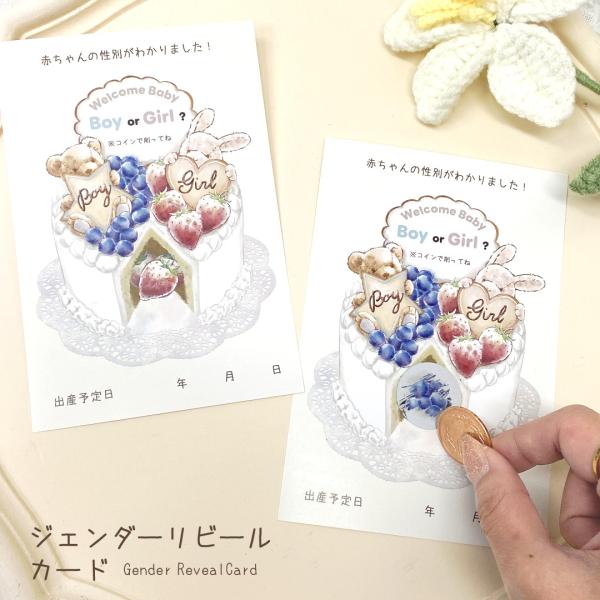ジェンダーリビールカード セット販売あり くま うさぎ テディベア ケーキ スクラッチ式 妊娠中期 サプライズ 発表用 赤ちゃん性別発表 出産祝い 男の子 女の子