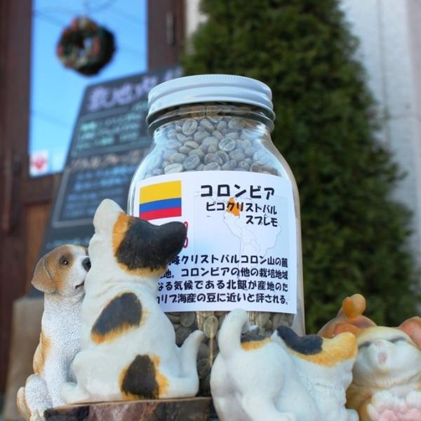 コロンビア ピコクリストバル スプレモ 300g 焙煎前 Buyee Buyee Japanischer Proxy Service Kaufen Sie Aus Japan
