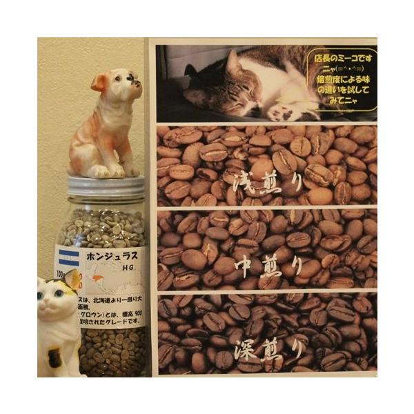 R[q[@@zWX HG xZbg 100g3300g O