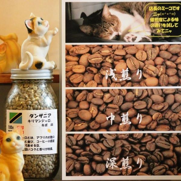 R[q[@@^UjA L}W L{AA xZbg 100g3300g O